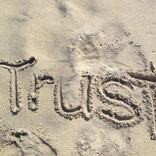 trusted will